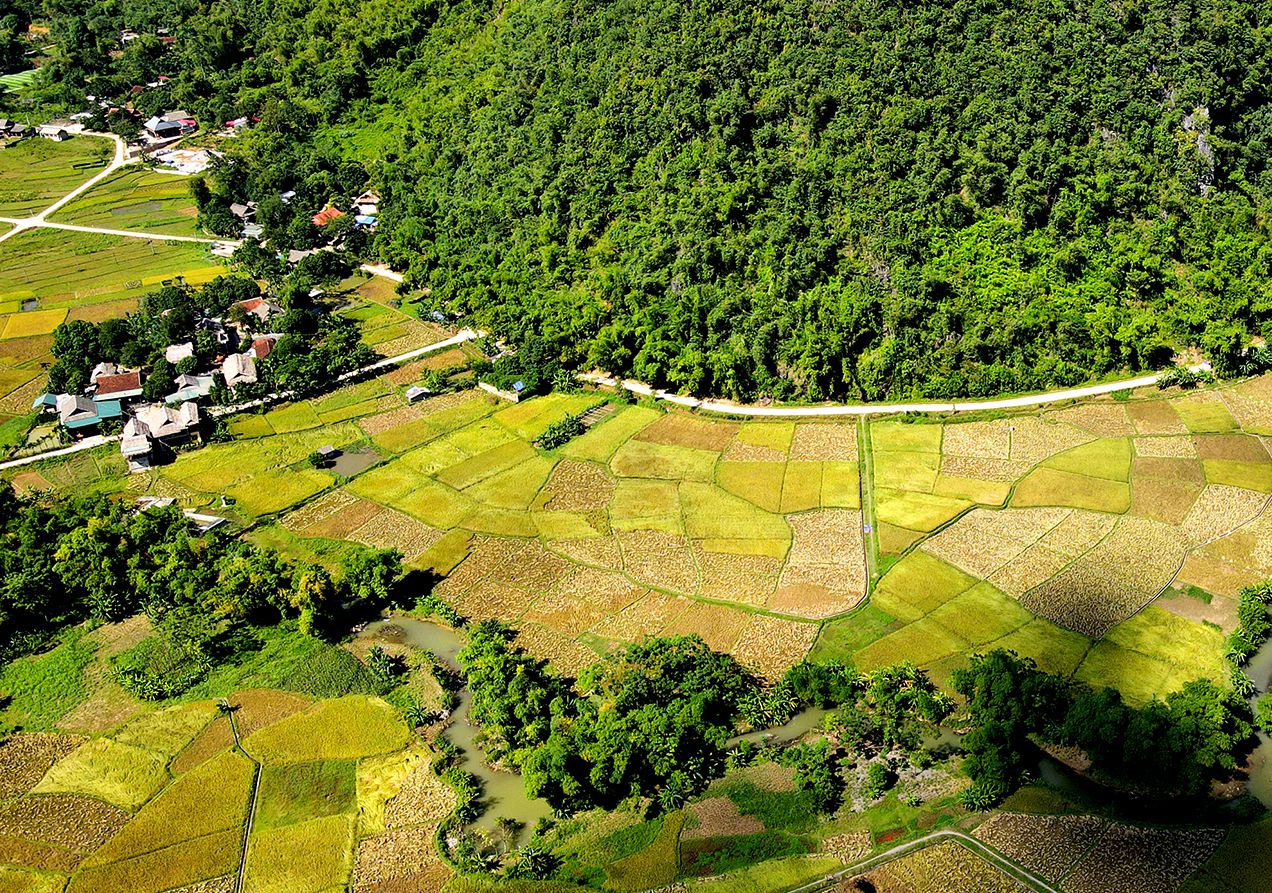 Enjoy the paradise ò Mai Chau ripe rice in October