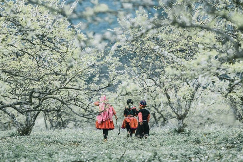 Mai Châu mùa nào cũng đẹp theo một cách rất riêng