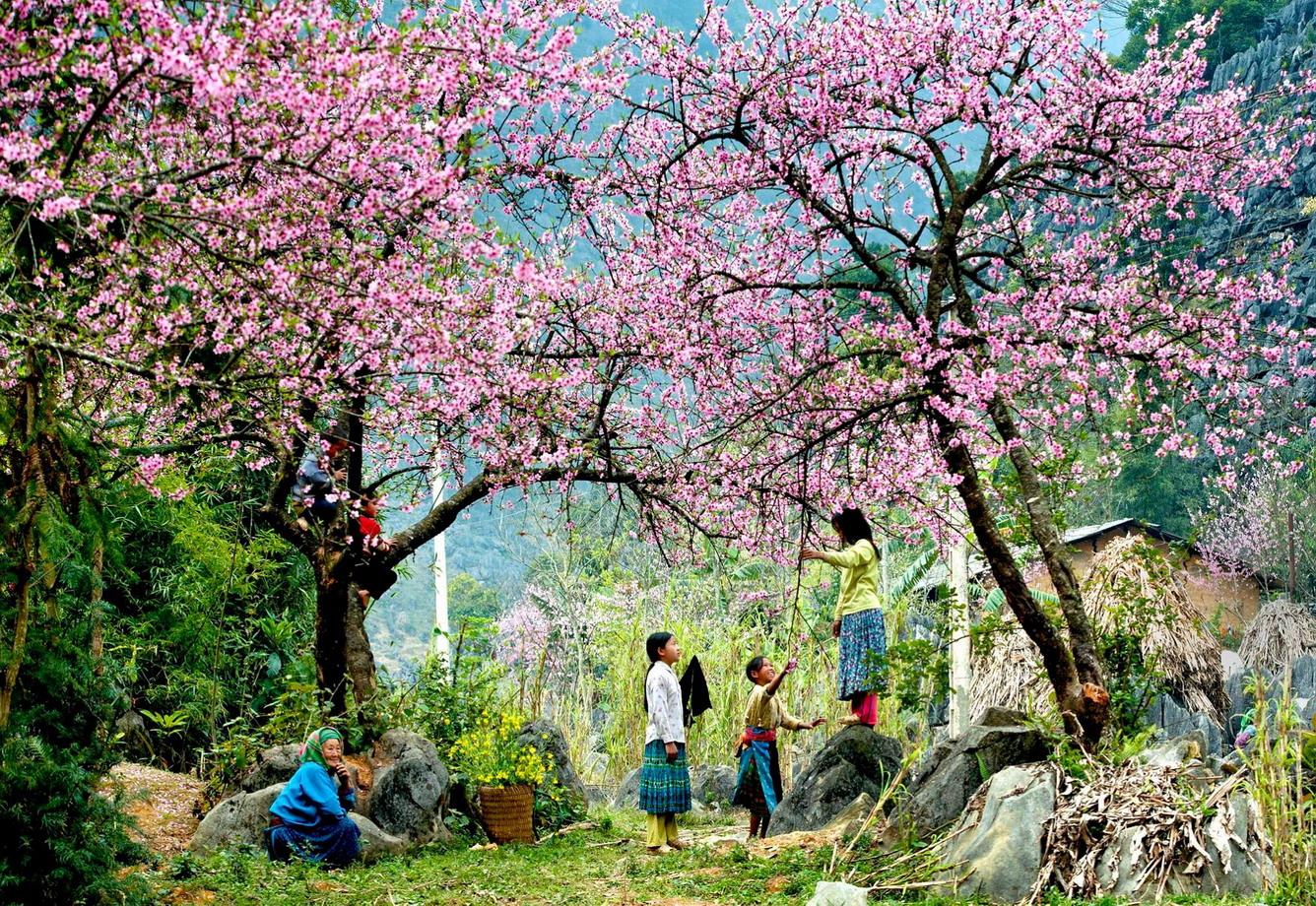 Gợi ý lịch trình tour Mai Châu - Mộc Châu 4 ngày 3 đêm