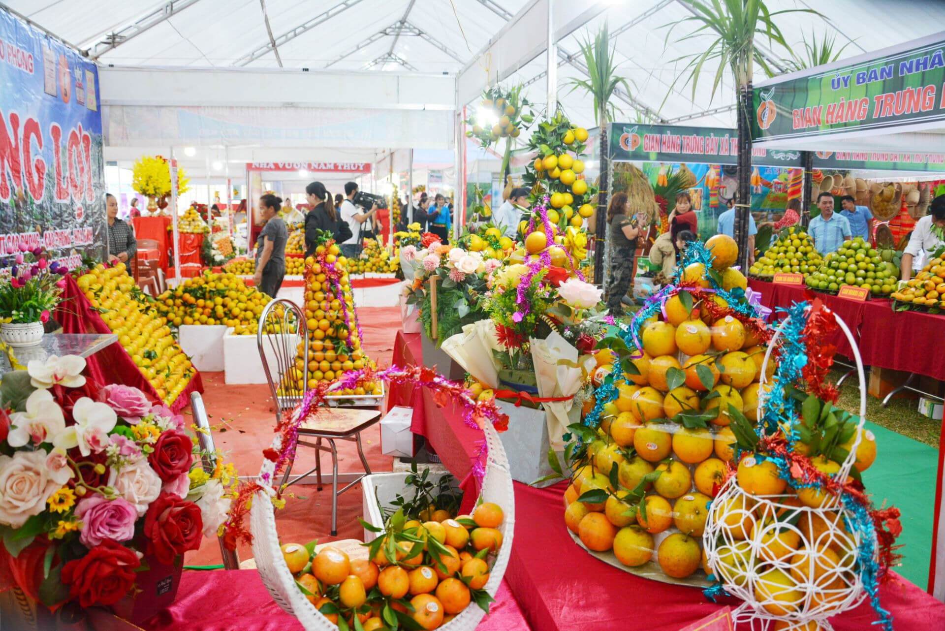 Khám phá lễ hội Cam Cao Phong Hòa Bình đầy hấp dẫn