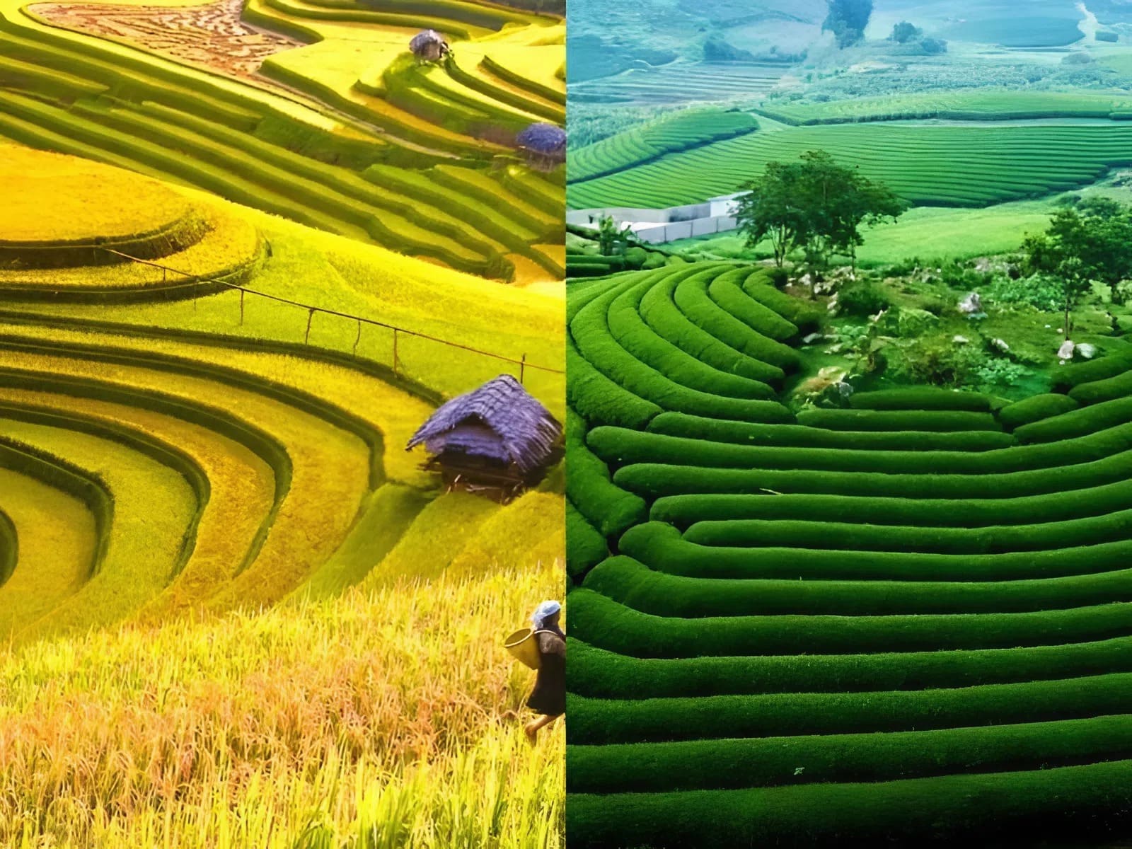 How many kilometers is it from Mai Chau to Moc Chau? Detailed directions