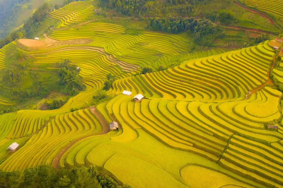 Traveling to Northwest Vietnam in October: Must-see destinations