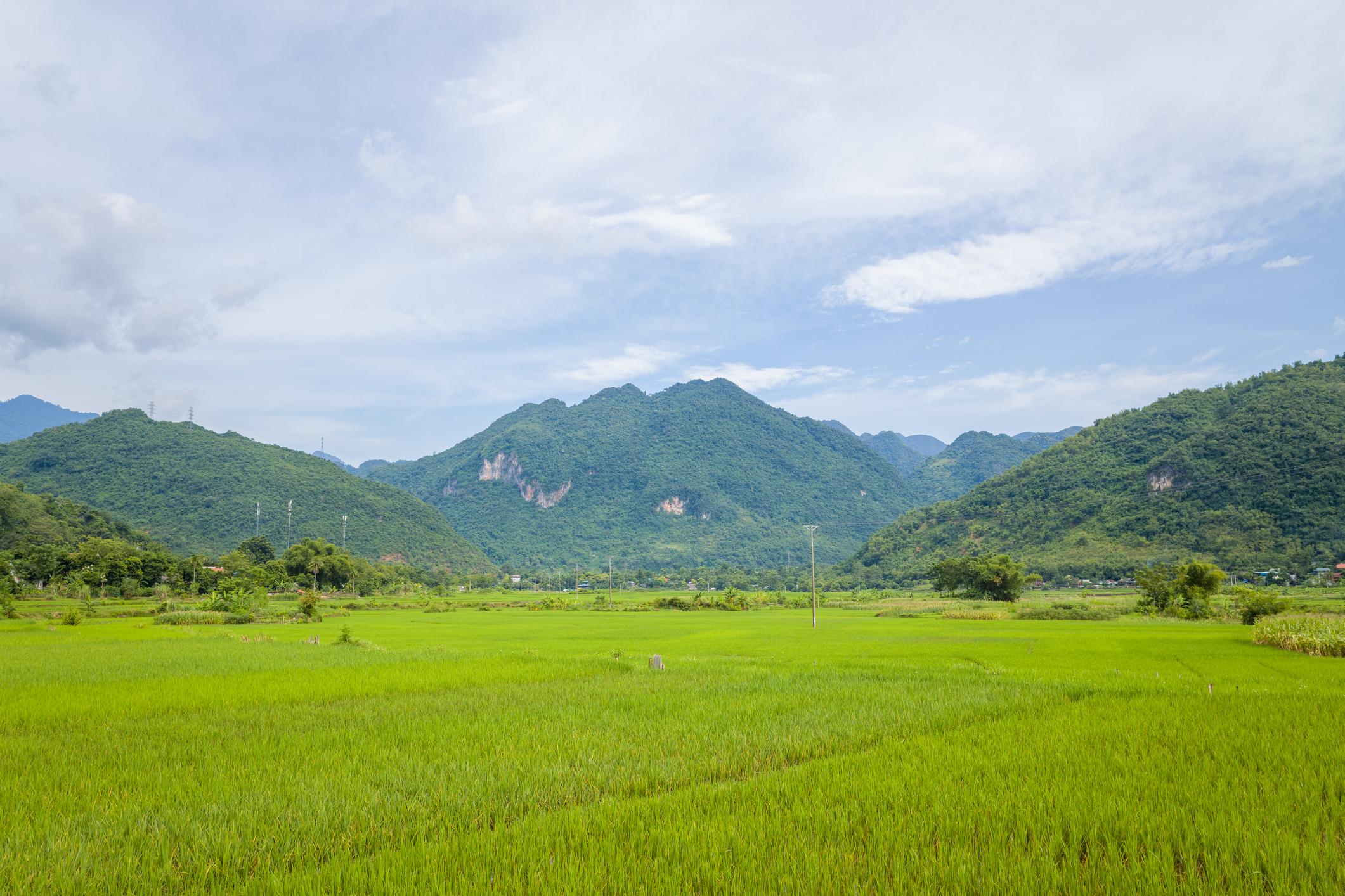 Late September to October is usually the best time to see golden rice terraces in Mai Chau (Source: Collected) Late September to October is usually the best time to see golden rice terraces in Mai Chau (Source: Collected)
