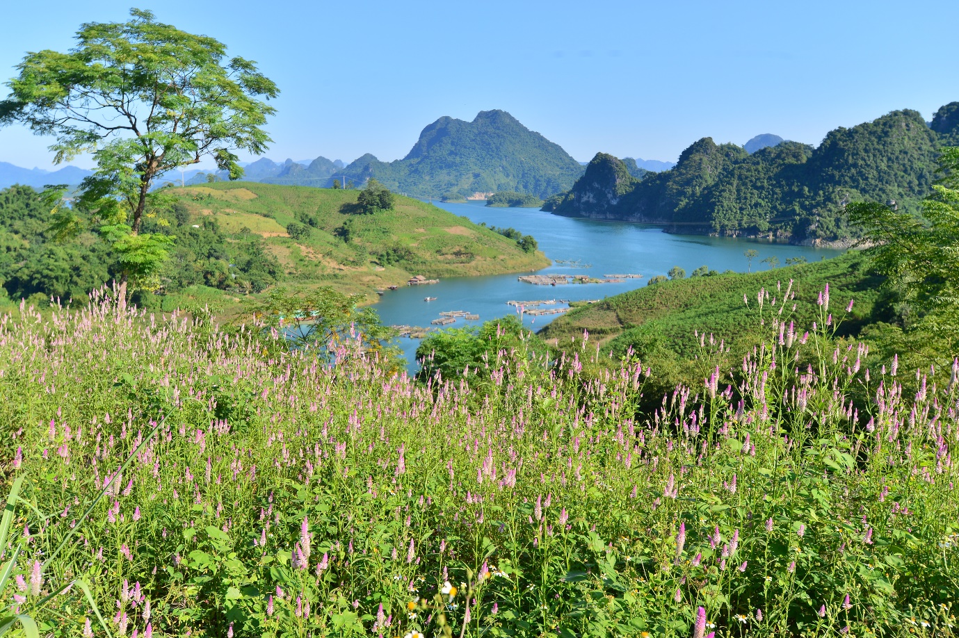 Du lịch Đà Bắc Hòa Bình mùa nào đẹp nhất? Du lịch Đà Bắc Hòa Bình mùa nào đẹp nhất?