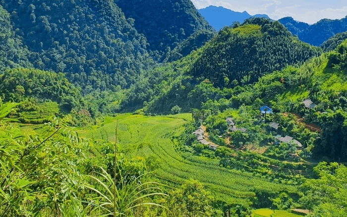 Hình ảnh của khu bảo tồn thiên nhiên Pù Luông (Nguồn: Tạp chí điện tử thiên nhiên và môi trường)