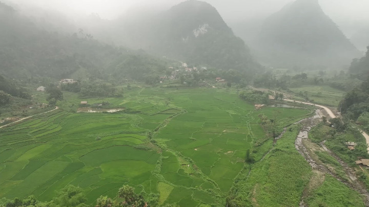Bản Dù Bản Dù