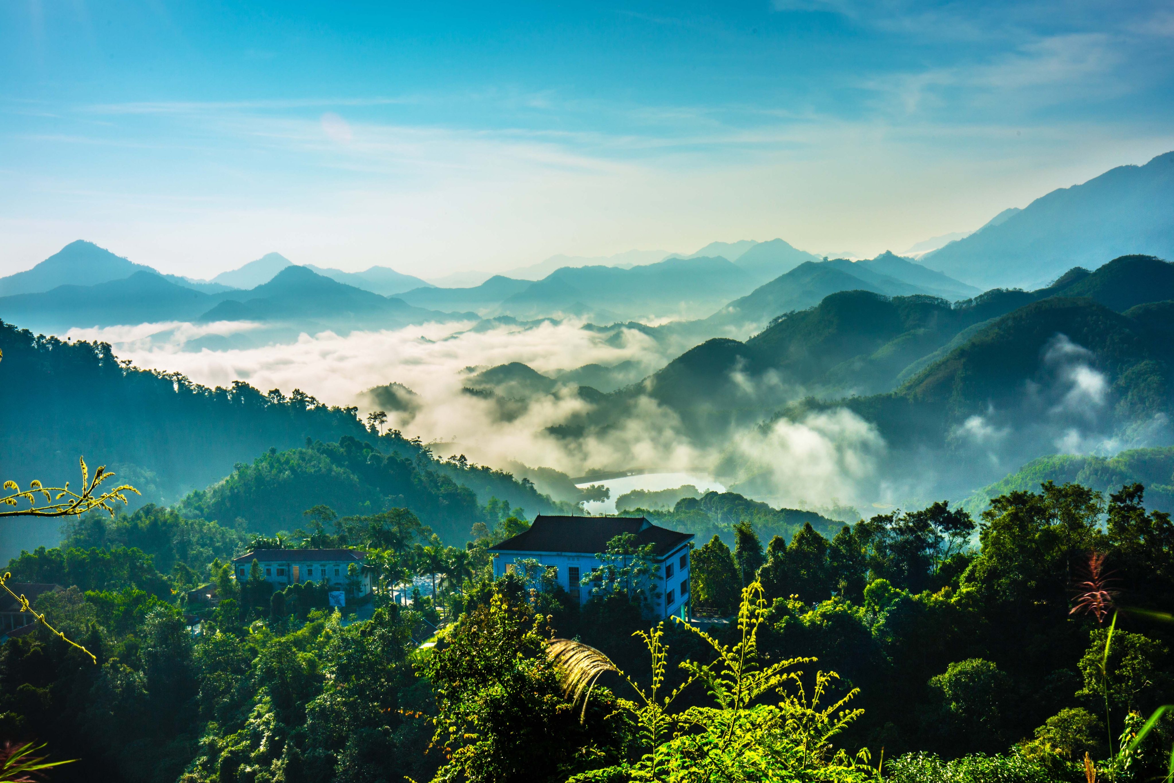 Rừng nguyên sinh Xuân Sơn Rừng nguyên sinh Xuân Sơn