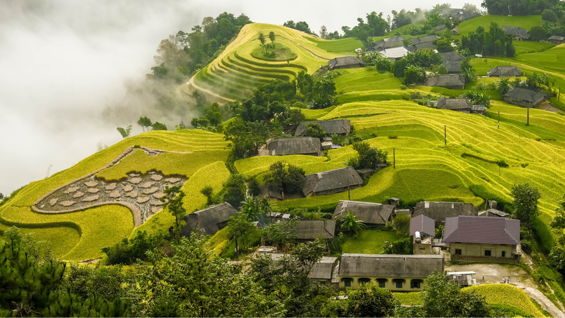 Hoàng Su Phì thơ mộng vào tháng 10 (nguồn: Crystal Bay)
