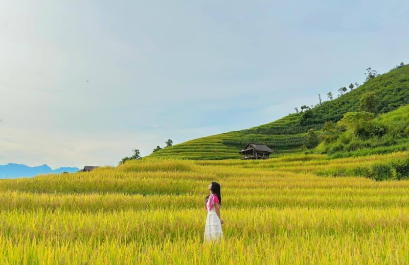 Mai Chau rice terraces are known for soft valley views, White Thai villages and peaceful cycling routes (Source: Collected) Mai Chau rice terraces are known for soft valley views, White Thai villages and peaceful cycling routes (Source: Collected)