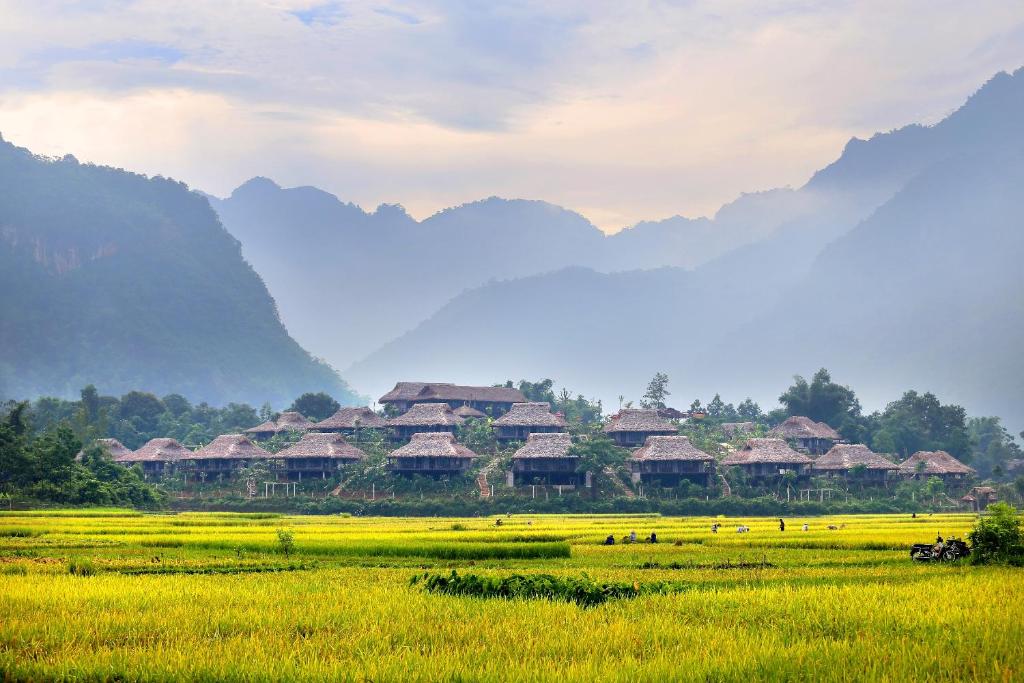 Unlike Vietnam’s beach islands, Dao Dua offers a freshwater lake landscape in the northern mountains (Source: Collected)