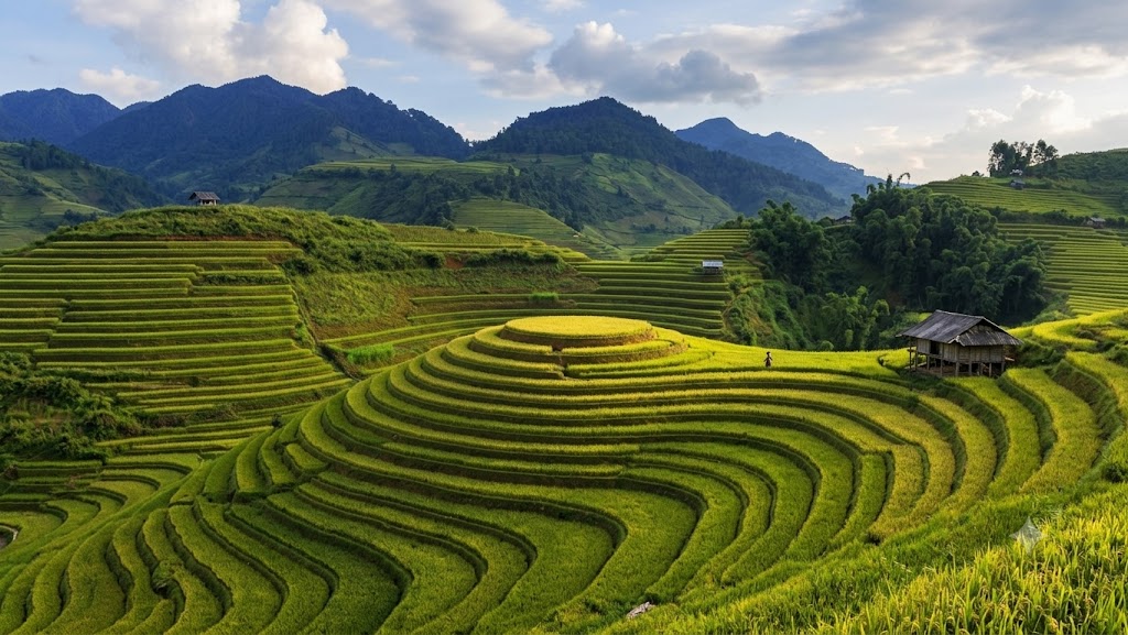 Mai Chau offers a gentler rice-field experience than higher mountain destinations such as Sapa or Mu Cang Chai (Source: Collected) Mai Chau offers a gentler rice-field experience than higher mountain destinations such as Sapa or Mu Cang Chai (Source: Collected)