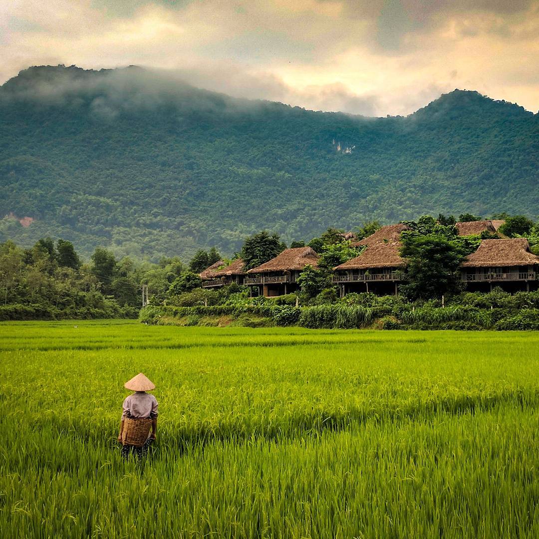 What to see and do in Mai Chau (Source: Collected) What to see and do in Mai Chau (Source: Collected)