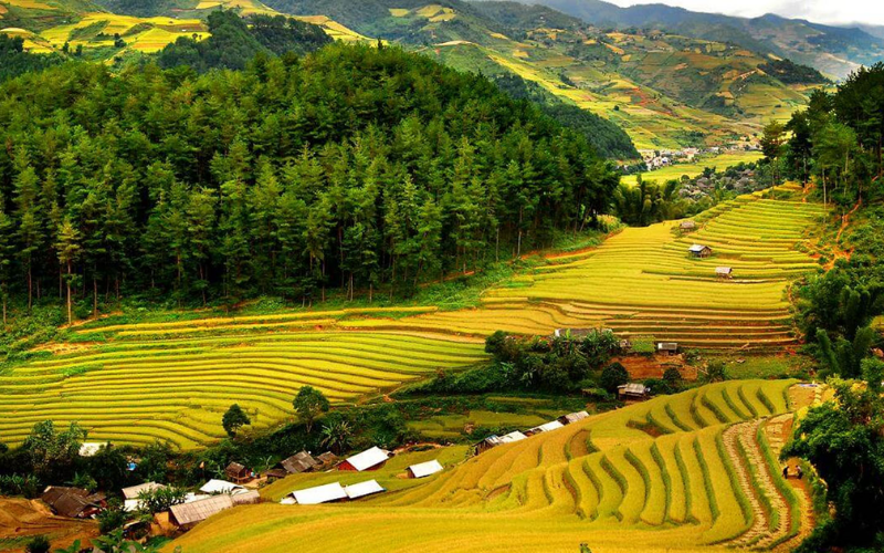 Khu bảo tồn thiên nhiên Pù Luông