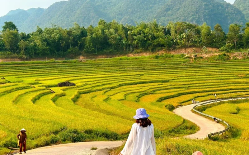 Khu bảo tồn thiên nhiên Pù Luông