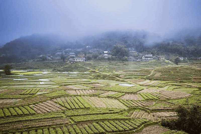 Lũng Vân chìm trong biển mây (Nguồn: Traveloka)