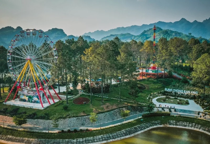 Di chuyển đến rừng thông Bản Áng