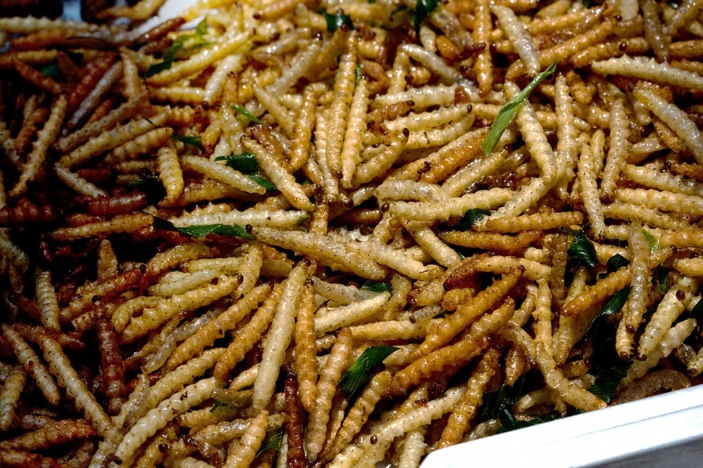 Sâu tre là một món ăn đặc sản của người dân tộc Thái (Nguồn: Soha)