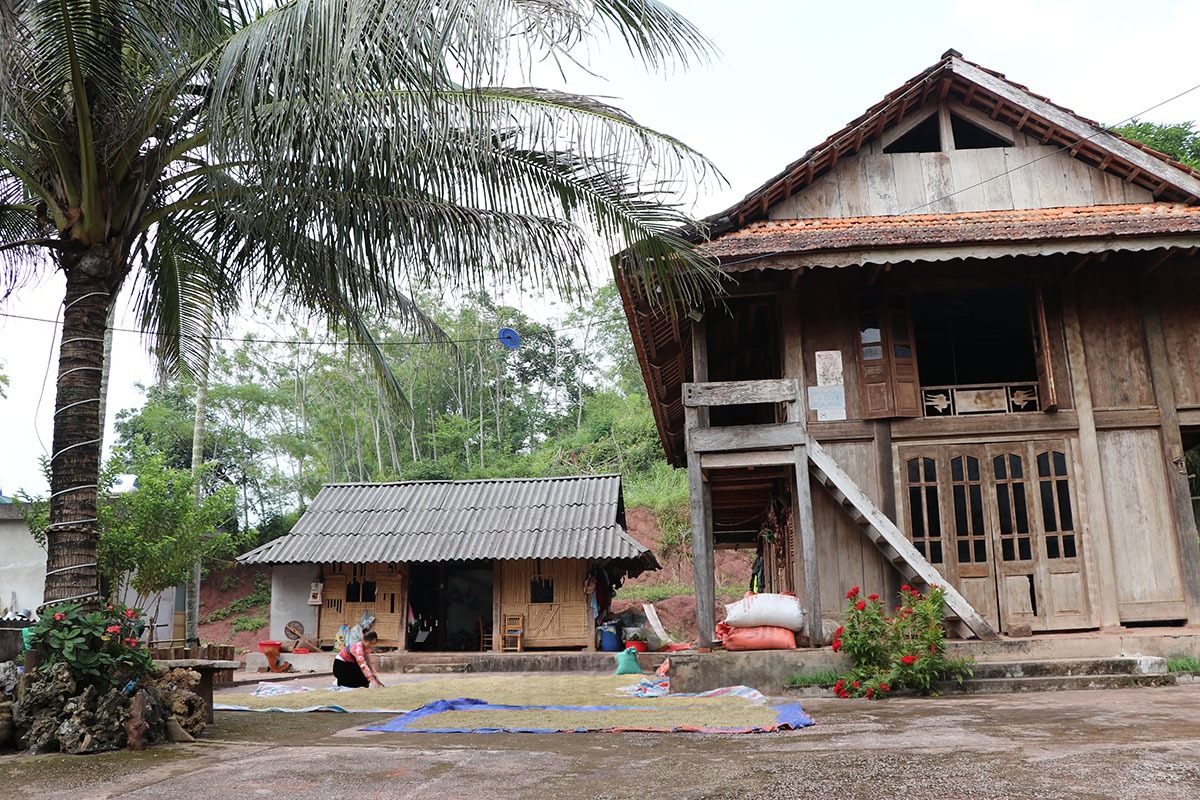 Bao La Mai Châu Hòa Bình vào mùa thu 