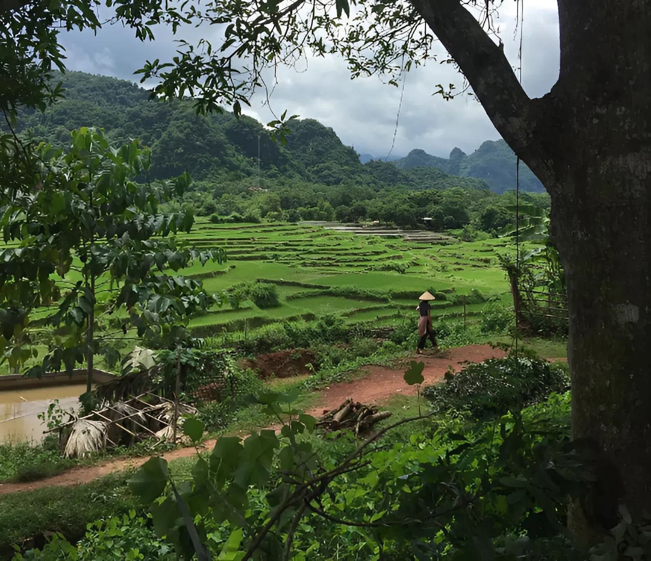 Trekking ngắm cảnh thung lũng 