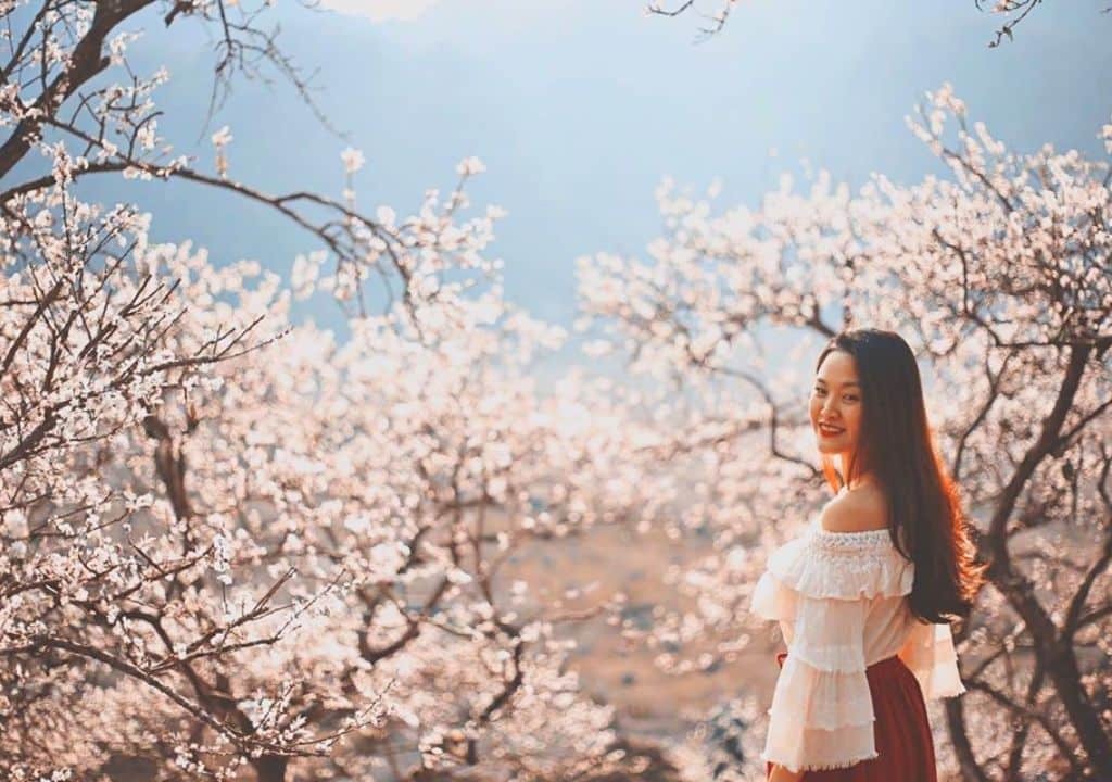 Sapa – Biển mây bồng bềnh và hoa đào khoe sắc