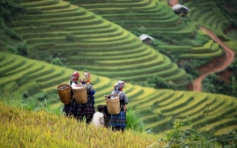 Tôn trọng phong tục và văn hóa địa phương (Nguồn: Bách hóa XANH)