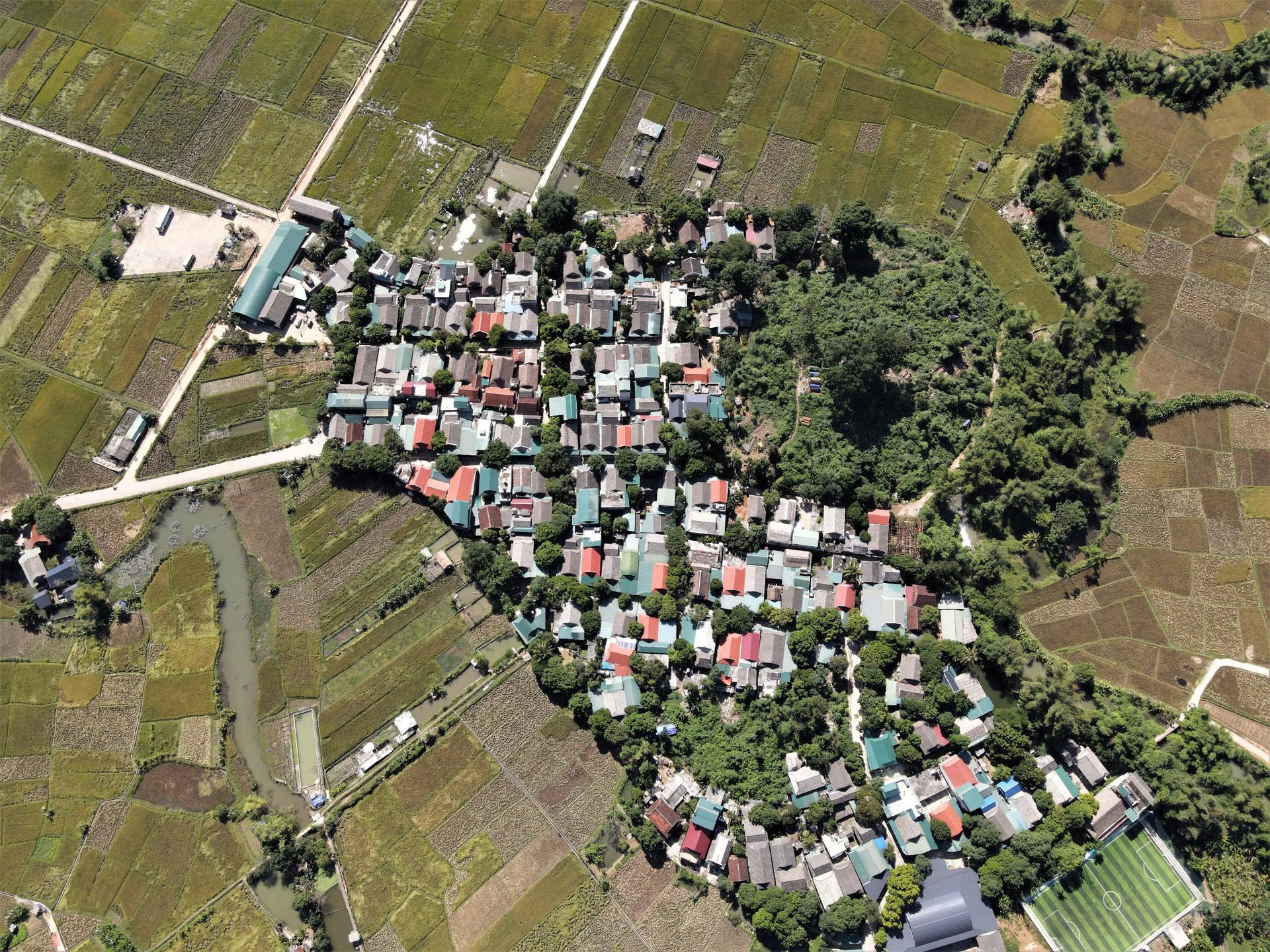 Du khách thỏa sức đắm chìm vào vẻ đẹp yên bình của bản Lác, Mai Châu (Nguồn: Sinhtour)