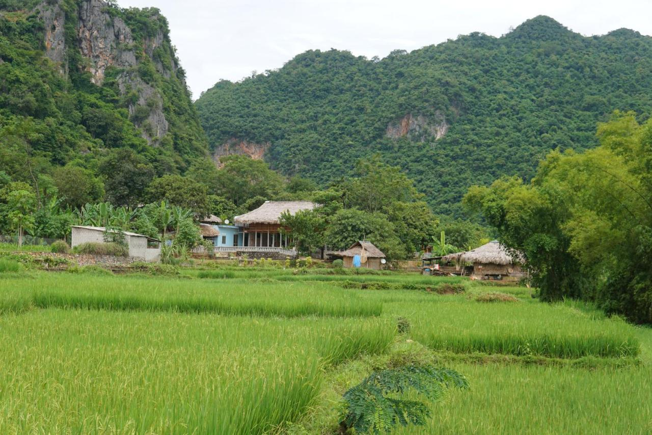 Khi đến du lịch sinh thái ở Mai Hịch, du khách sẽ được trải nghiệm những hoạt động trồng trọt, chăn nuôi với người dân bản xứ (nguồn: Hotelmix)