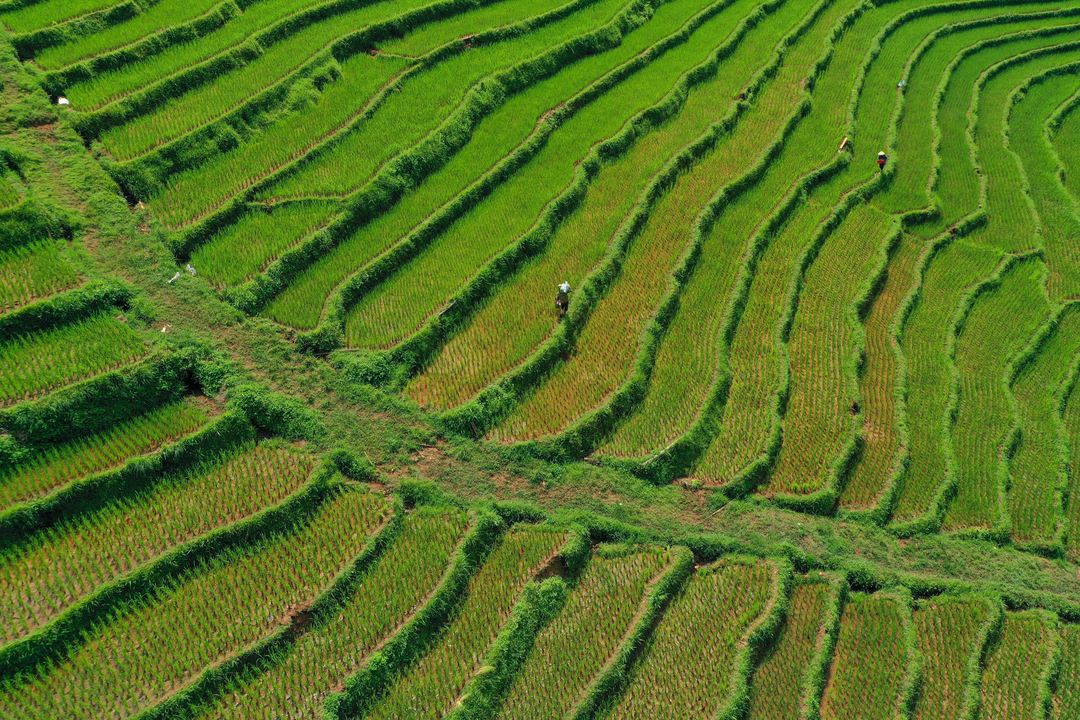 Sức hấp dẫn của Tây Bắc tháng 7 (nguồn: Lạc Sơn Hòa Bình)