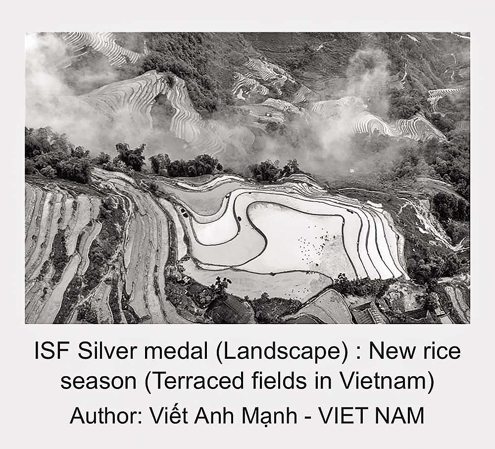 Ảnh được nhiếp ảnh gia Viết Anh Mạnh chụp