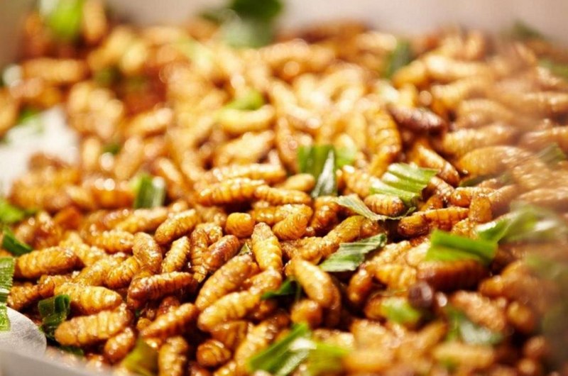 Nhộng ong rừng được xào với lá chanh