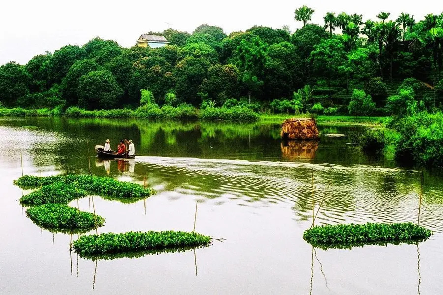 Hệ sinh thái và cảnh quan đặc trưng