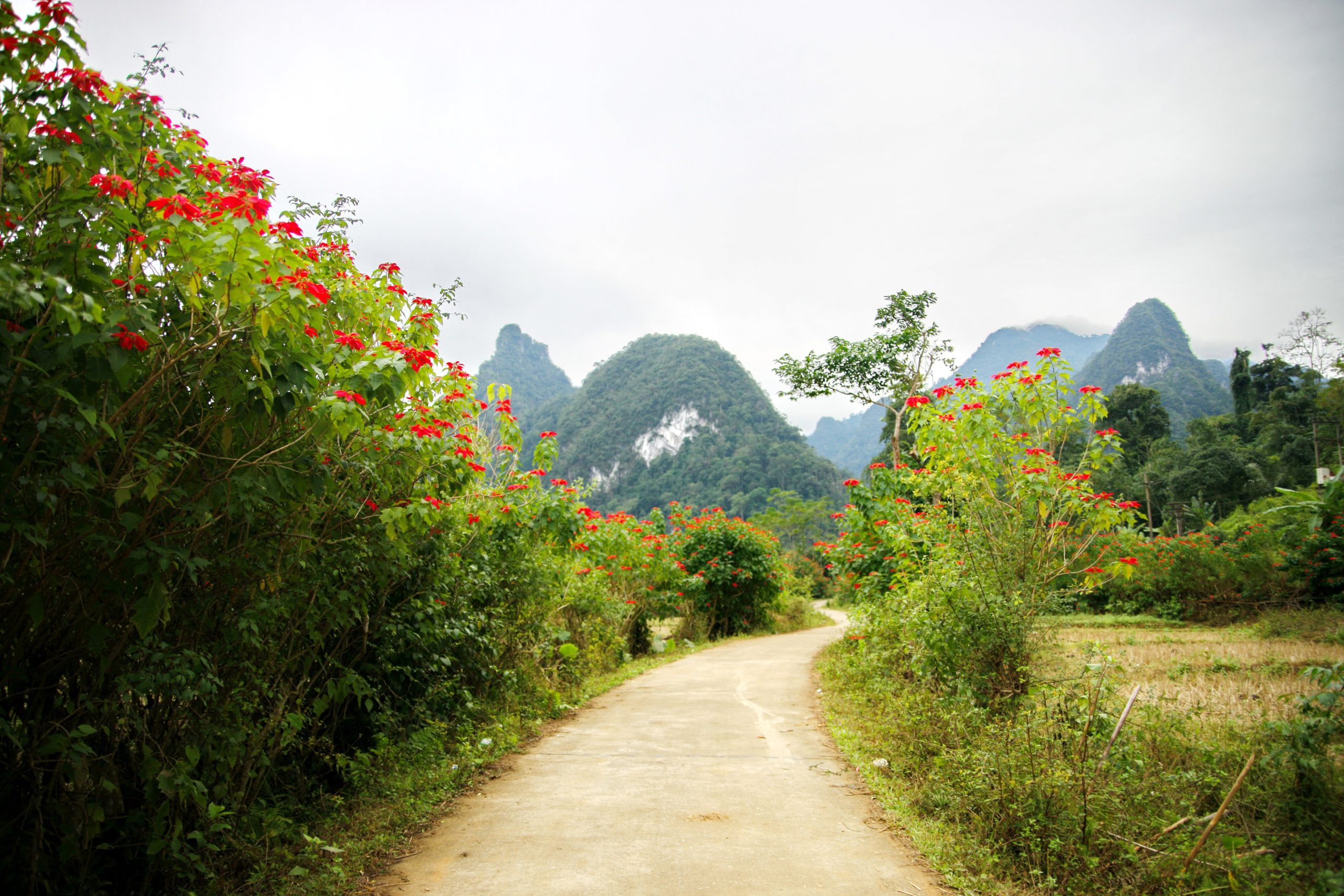 Trong tất cả các hoạt động, trekking gần như là cách rõ nhất để cảm nhận trọn vẹn vườn quốc gia Xuân Sơn Trong tất cả các hoạt động, trekking gần như là cách rõ nhất để cảm nhận trọn vẹn vườn quốc gia Xuân Sơn