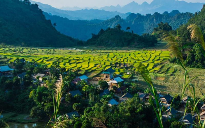 Tour Mai Hạ, Khả, Te, Bước, Mai Hịch