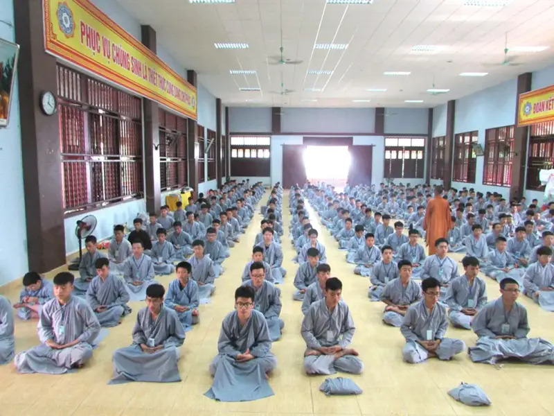 Tham gia các khóa tu ngắn hạn và ngồi thiền